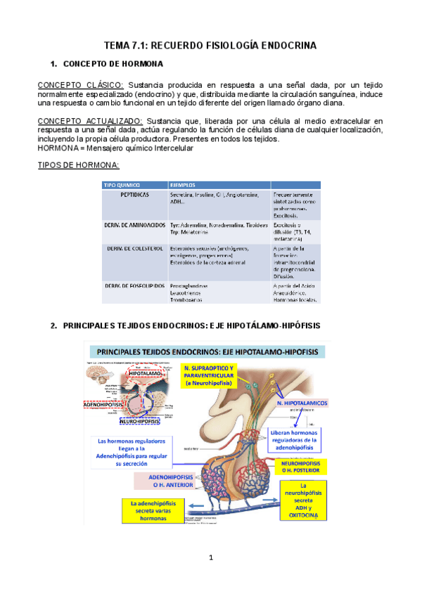 Miniatura del documento tema-7-.docx.pdf