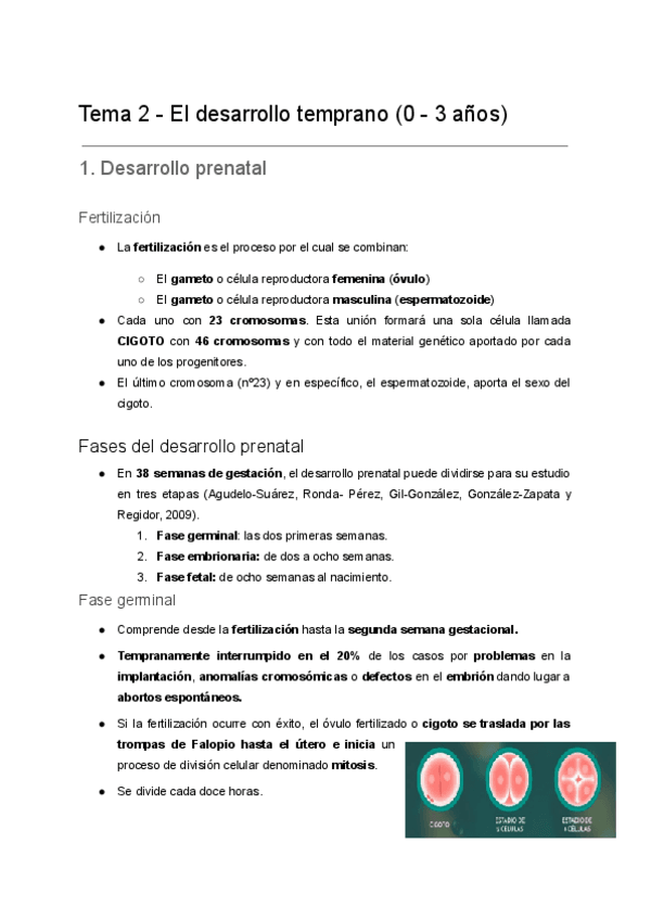 Miniatura del documento Tema-2-.1-Desarrollo-prenatal.pdf