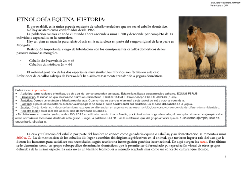 Miniatura del documento Etnología caballos pdf.pdf