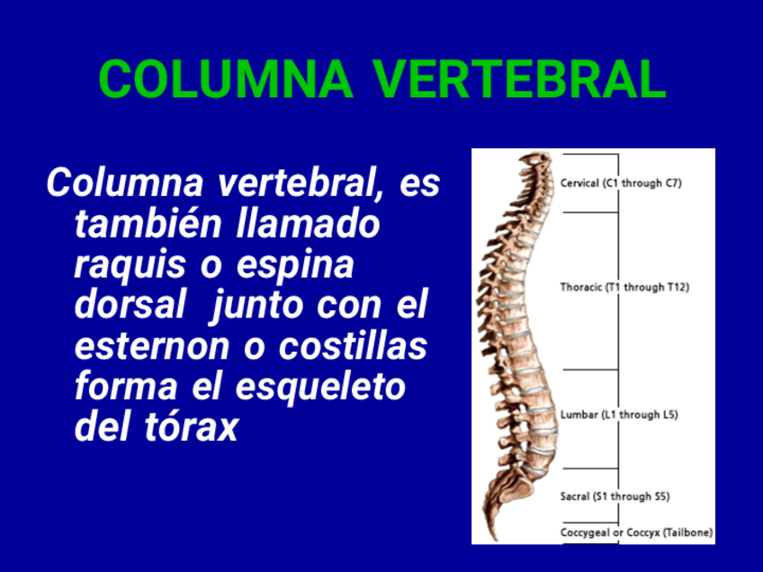 Miniatura del documento BIOLOGIA-IConverted.pdf