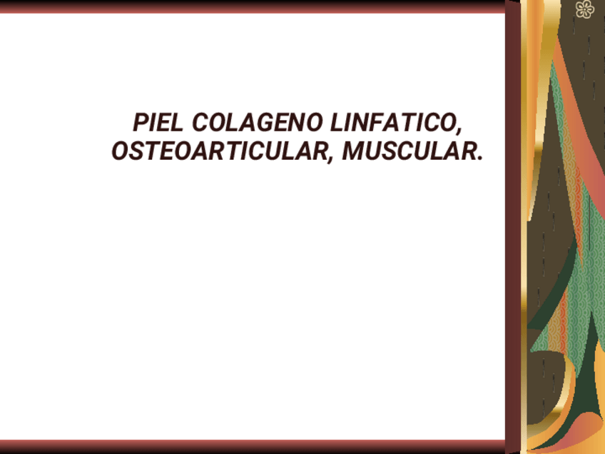 Miniatura del documento LA-PIELConverted.pdf