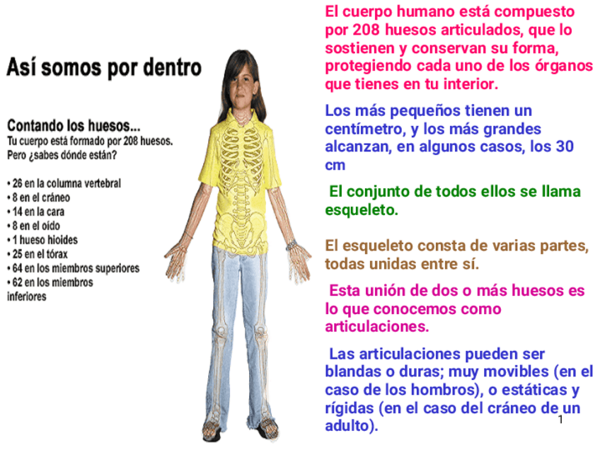 Miniatura del documento LOS-HUESOSConverted.pdf