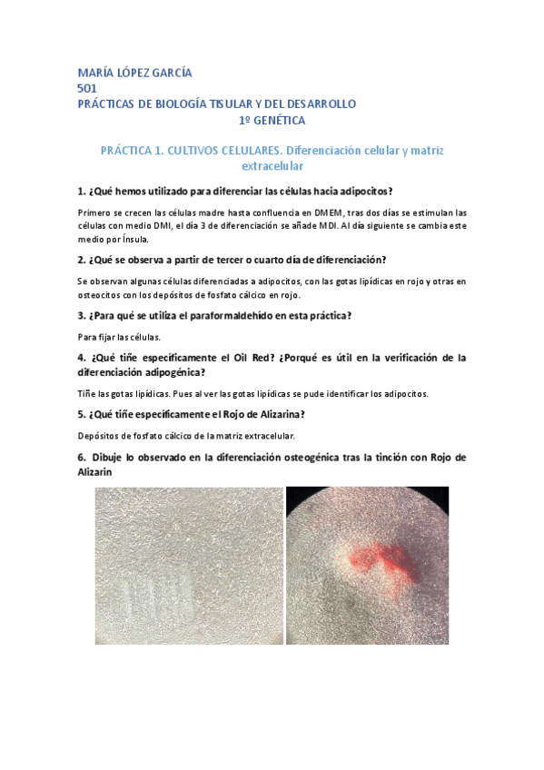 Miniatura del documento Cuaderno de prácticas tisular.pdf