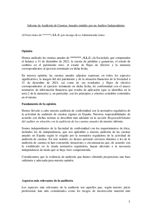 Miniatura del documento 06-Informe-auditoria-sin-salvedades.pdf