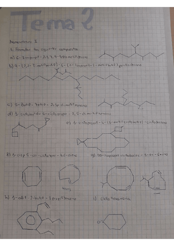 Miniatura del documento Tema-2-organica.pdf