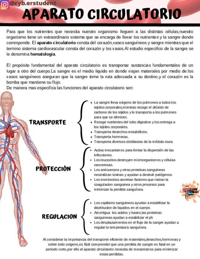 Miniatura del documento APARATO-CIRCULATORIO.pdf