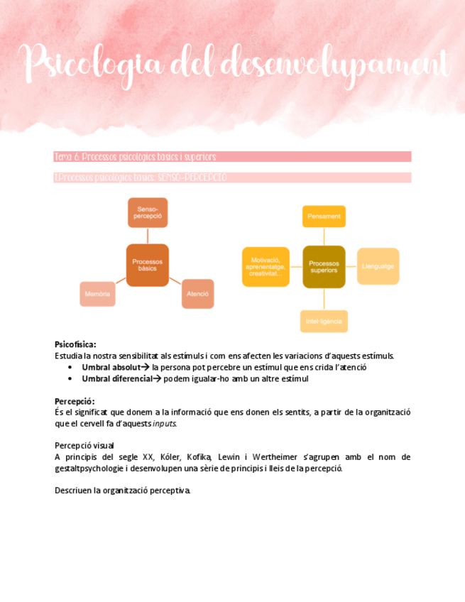Miniatura del documento Processos-psicologics-basics-i-superiors.pdf