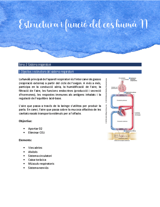 Miniatura del documento Sistema-respiratori.pdf