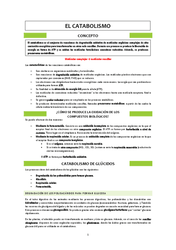 Miniatura del documento Catabolismo.pdf