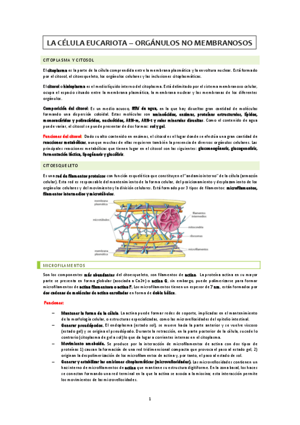Miniatura del documento Organulos-no-membranosos.pdf