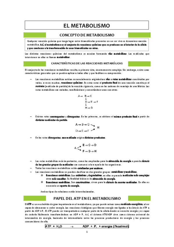 Miniatura del documento Metabolismo.pdf