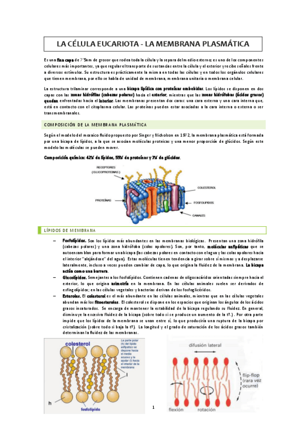 Miniatura del documento La-membrana-celular.pdf
