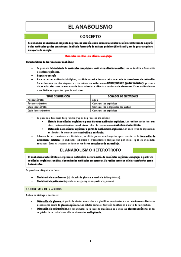 Miniatura del documento Anabolismo.pdf