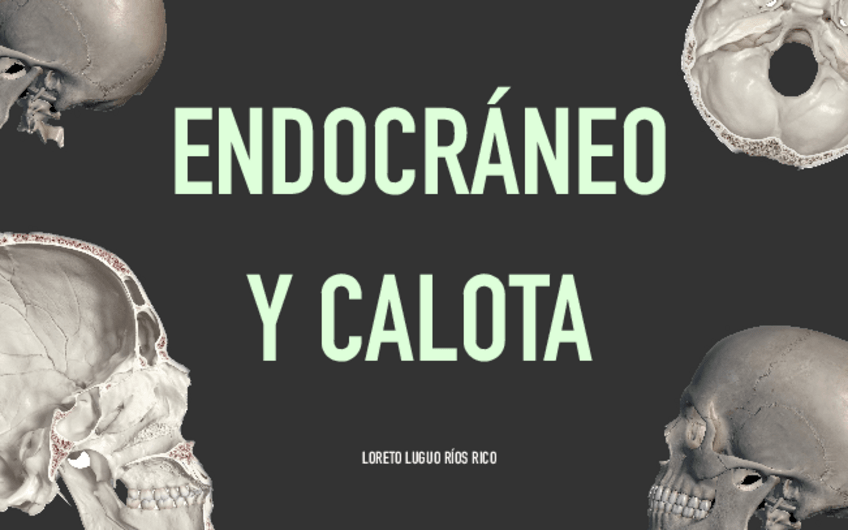 Miniatura del documento Practica-1-Endocraneo-Y-Calota.pdf