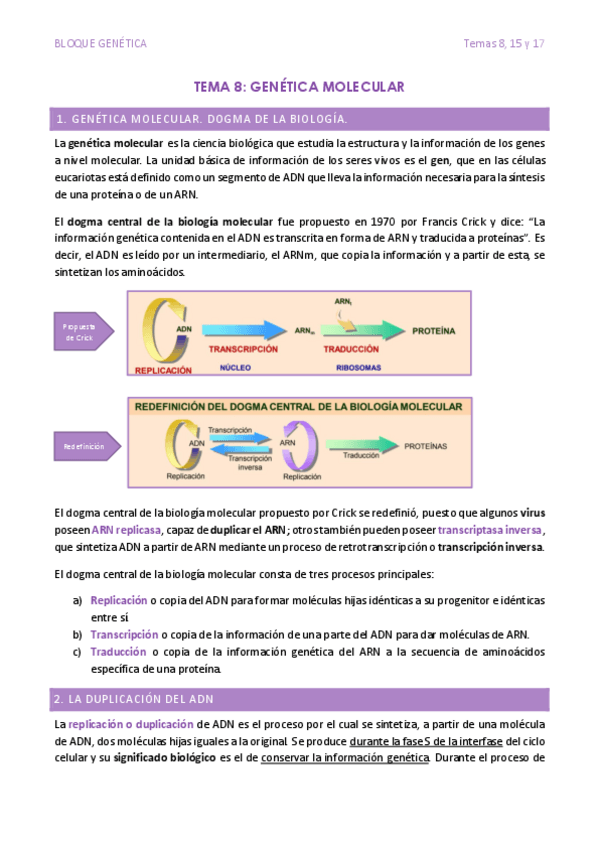 Miniatura del documento BLOQUE-GENETICA.-REPLICACION-TRANSCRIPCION-TRADUCCION-Y-MUTACIONES.pdf