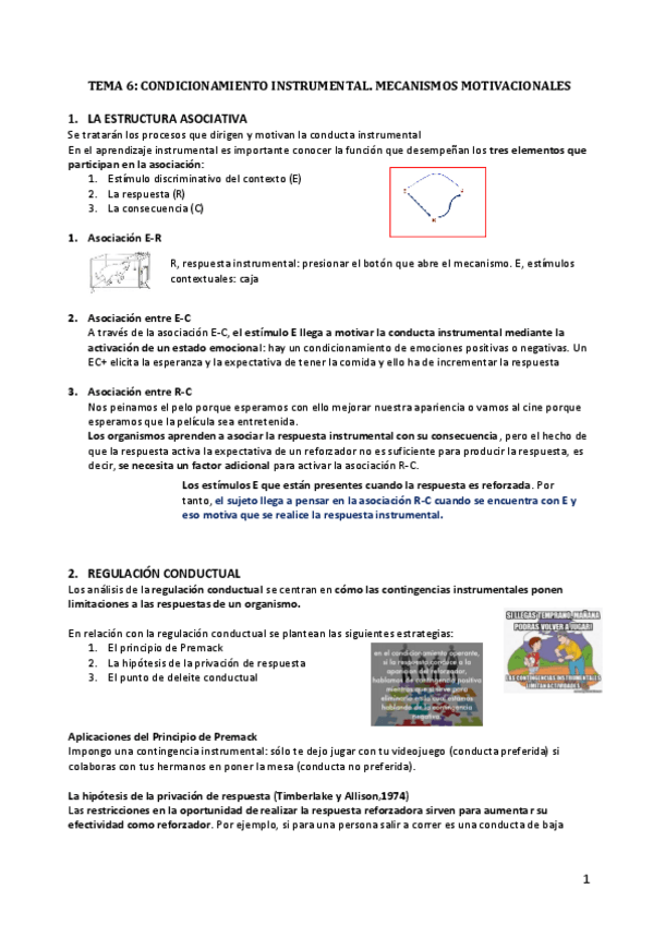 Miniatura del documento TEMA-6.pdf