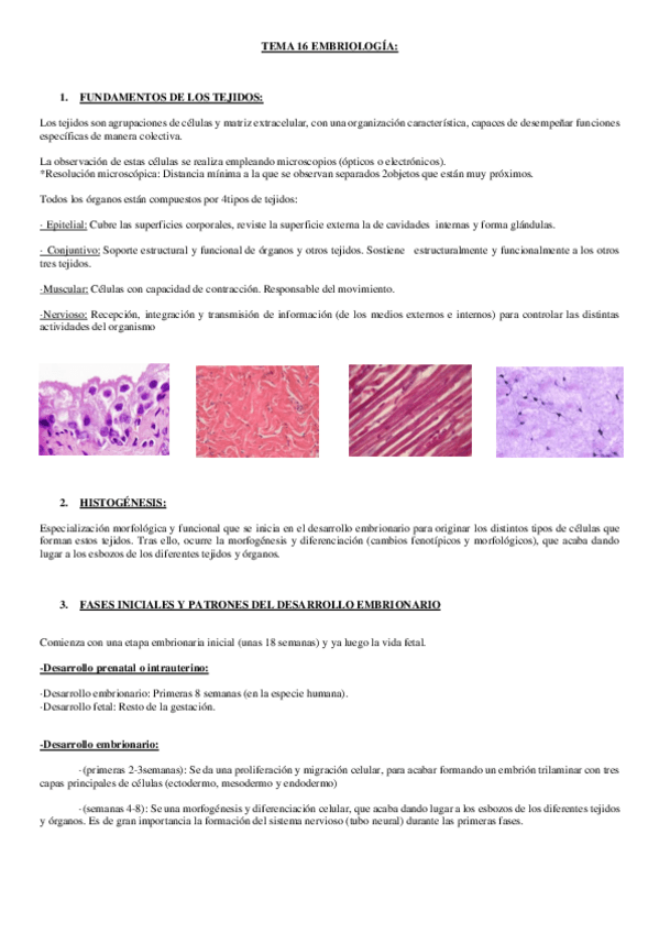 Miniatura del documento tema 16. embriología.pdf