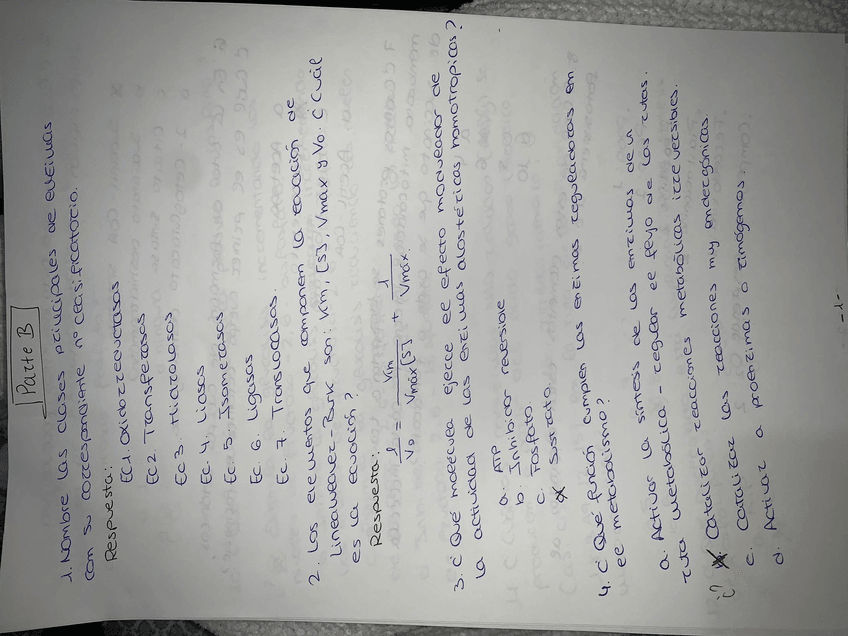 Miniatura del documento EXAMEN-2.jpg