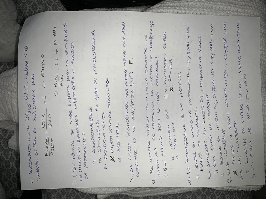 Miniatura del documento EXAMEN-3.jpg