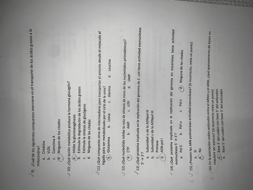 Miniatura del documento EXAMEN-10.jpg