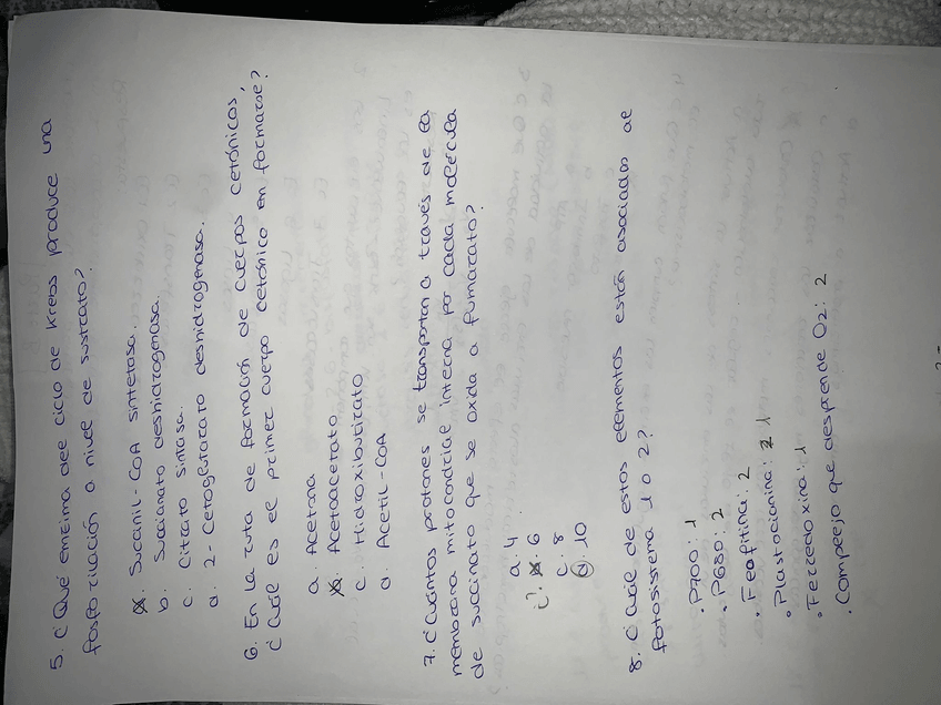 Miniatura del documento EXAMEN-5.jpg