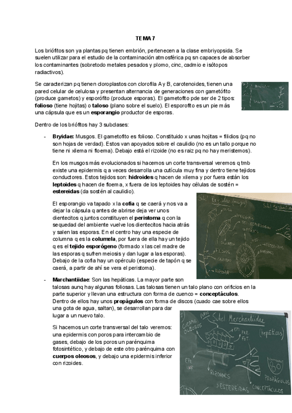 Miniatura del documento Tema 7 Botánica.pdf