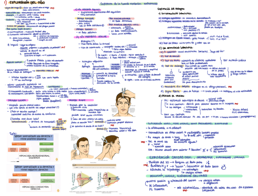 Miniatura del documento Tema-2-OTORRINO.-PFL.pdf