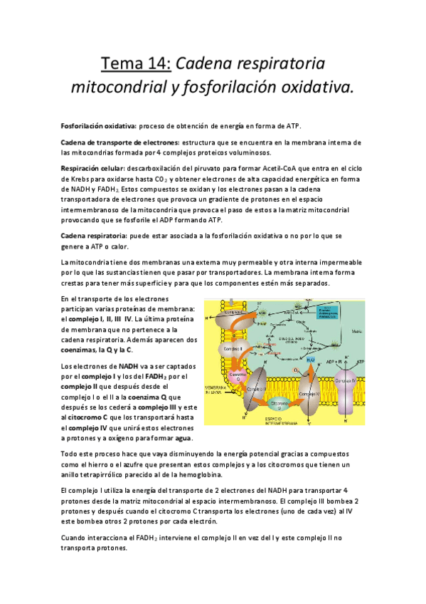 Miniatura del documento Tema 14.pdf