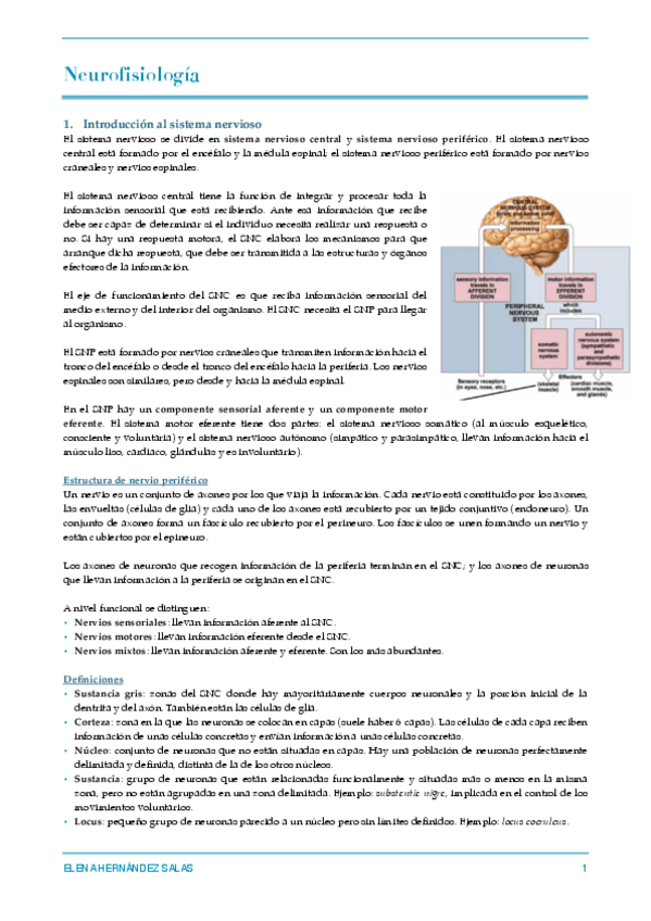 Miniatura del documento Neurofisiología.pdf