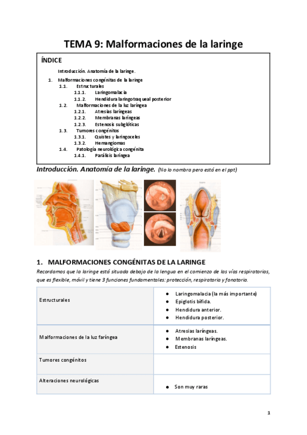 Miniatura del documento Tema-9-Malformaciones-de-la-laringe.pdf