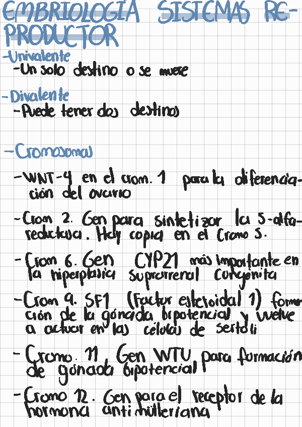 Miniatura del documento Embrio-sistema-reproductor-CLASE-6-DE-MARZO.pdf