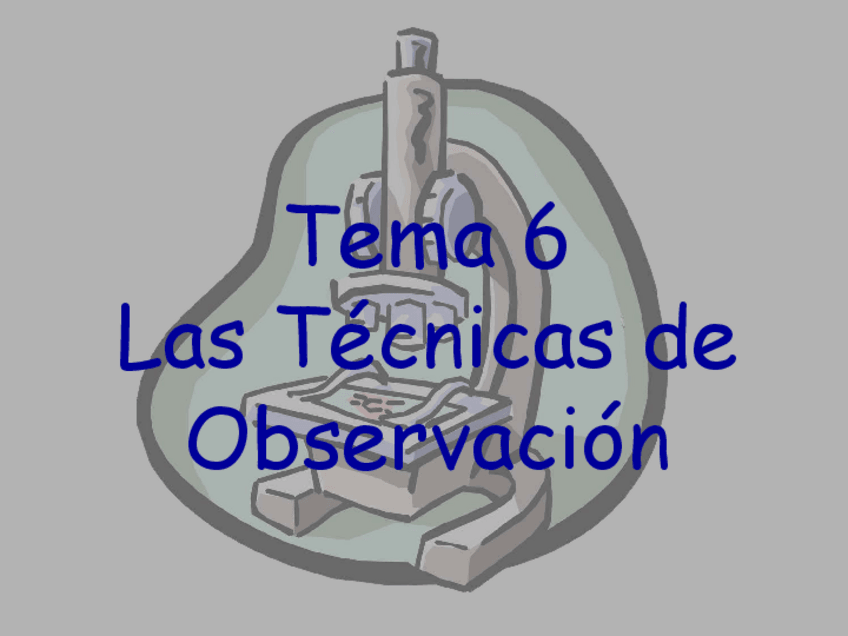 Miniatura del documento Tema-6-diapostivas.pdf