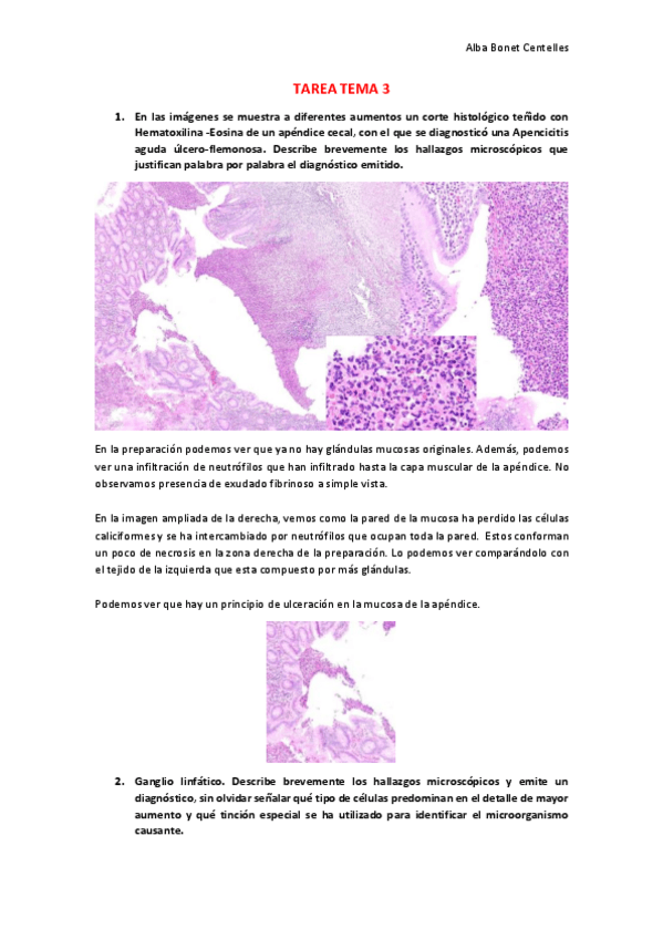Miniatura del documento TAREA-TEMA-3.pdf