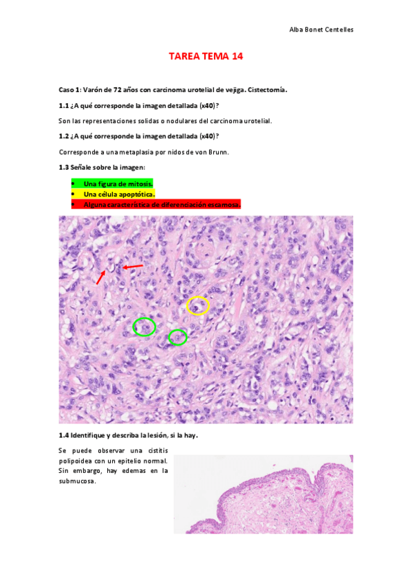 Miniatura del documento Tarea-tema-14.pdf