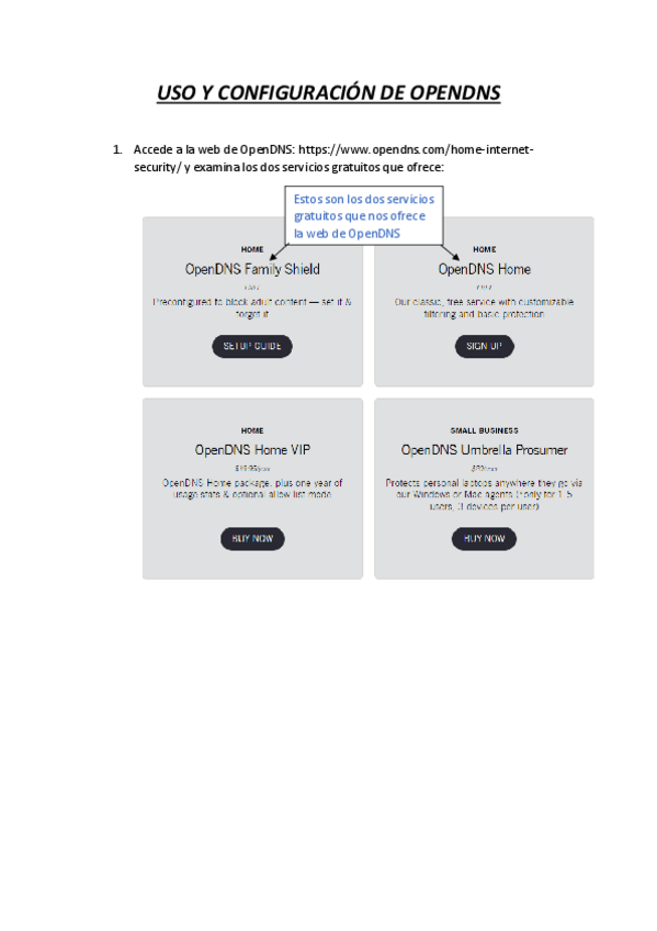 Miniatura del documento OPENDNS-Noel-Barcia-2.pdf