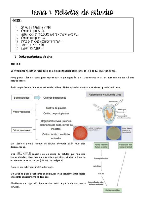 Miniatura del documento tema-4-virologia.pdf