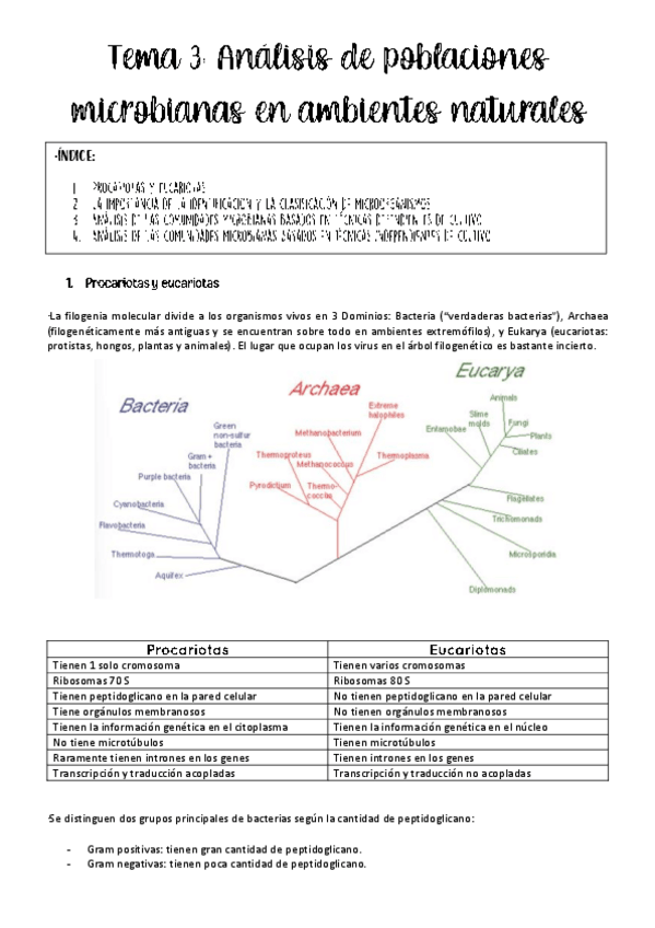 Miniatura del documento tema-3-biotec-microbiana.pdf