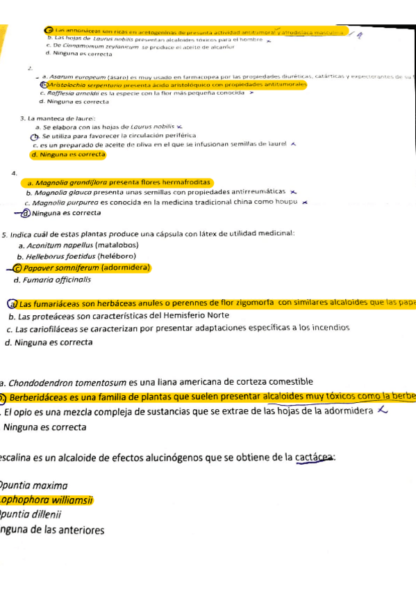 Miniatura del documento 2oParcial-Botanica-CORREGIDO.pdf