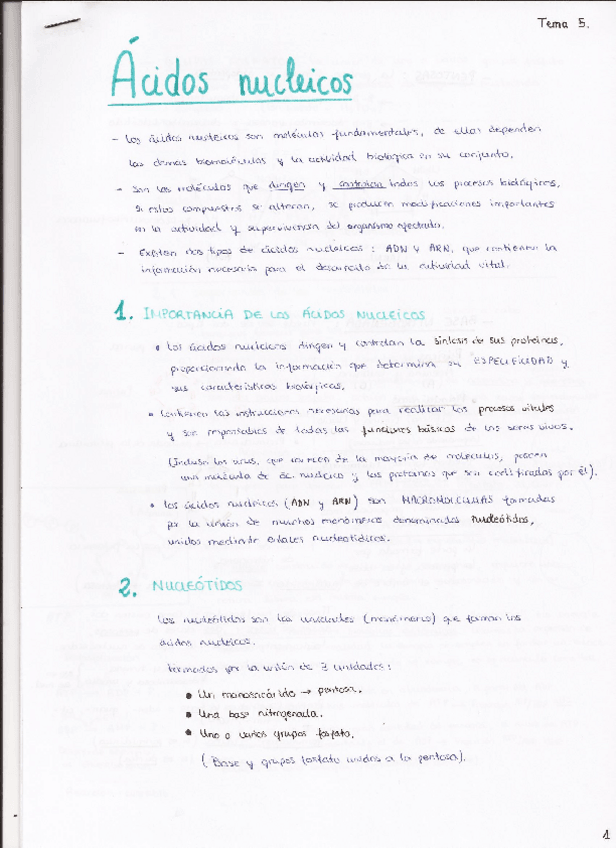 Miniatura del documento 5- Ácidos nucleicos.pdf