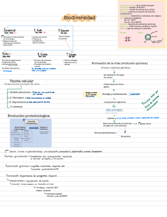 Miniatura del documento Biologia.pdf
