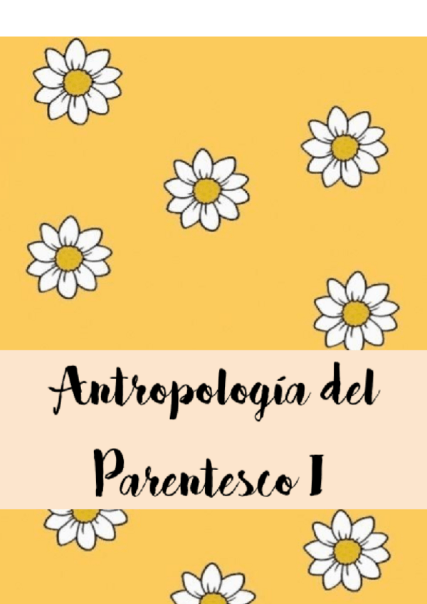 Miniatura del documento Antropologia-del-Parentesco-I.pdf