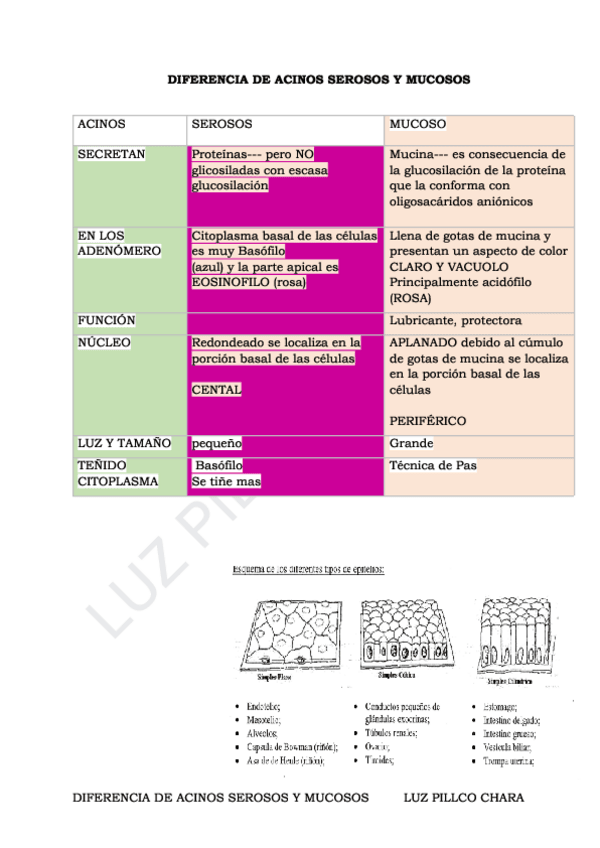 Miniatura del documento ACINOS-SEROSOS-Y-MUCOSOS.pdf