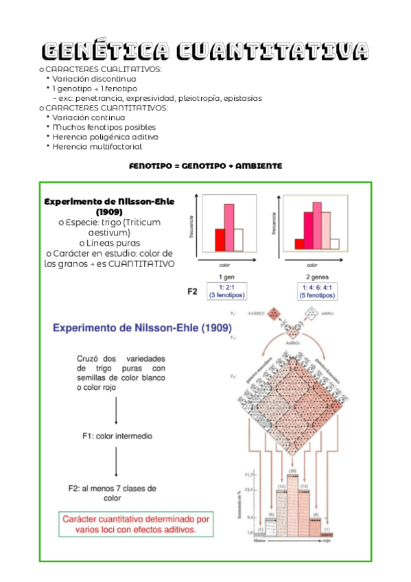 Miniatura del documento TEMA-5.pdf