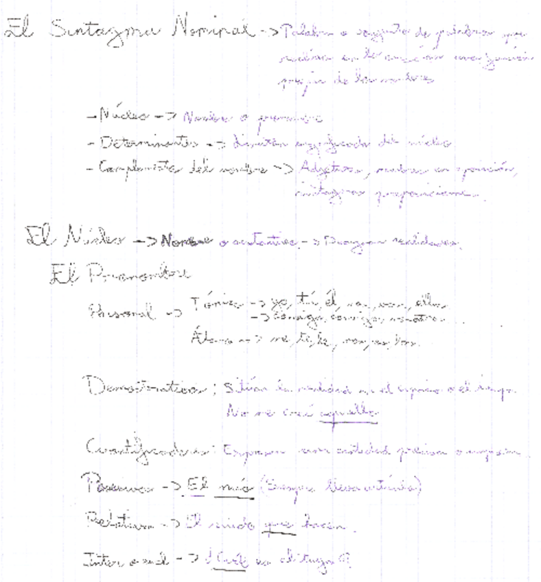 Miniatura del documento Tema-3-Sintagma-Nominal-Pronombre.pdf
