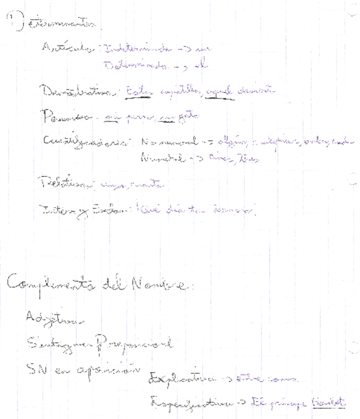 Miniatura del documento Tema-3-Complemento-Nombre-Determinantes.pdf