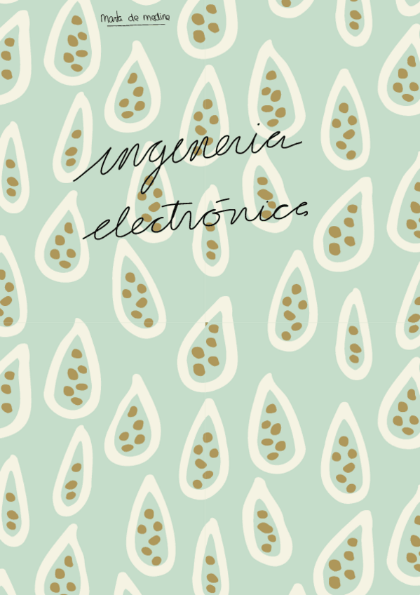 Miniatura del documento apuntes.pdf