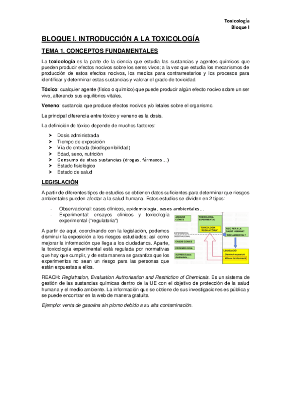 Miniatura del documento Apuntes-BLOC-I.pdf