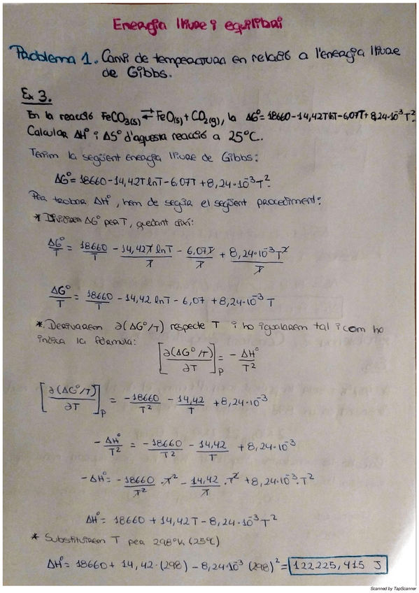 Miniatura del documento Energia-lliure-i-equilibri.pdf