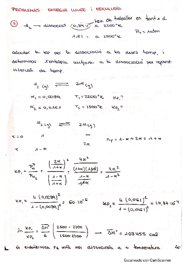 Miniatura del documento energialliureQF20200419121912.pdf