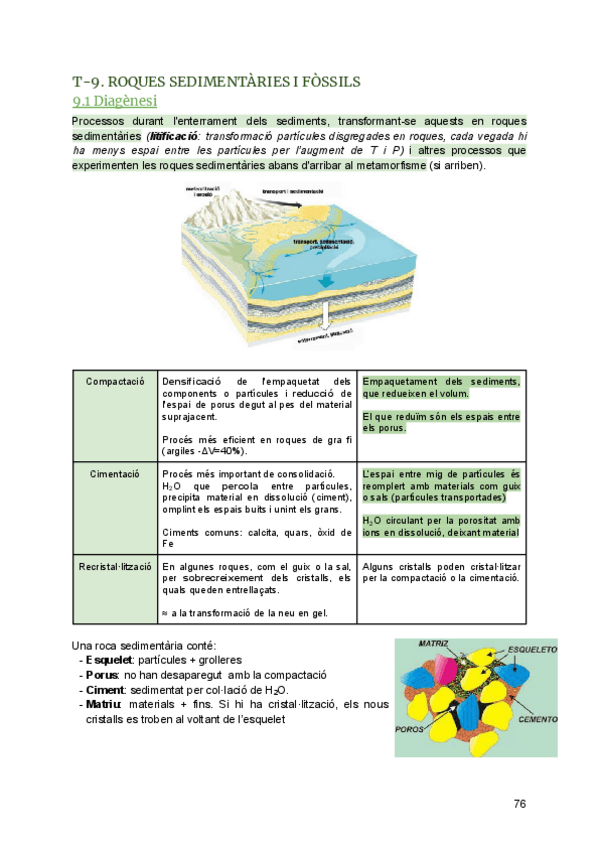Miniatura del documento GeoTema-9.-Roques-sedimentaries-i-fossils.pdf
